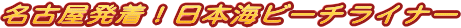 ���É������I���{�C�i�ዷ�E�����j�r�[�`���C�i�[