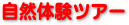 ���R�̌��c�A�[